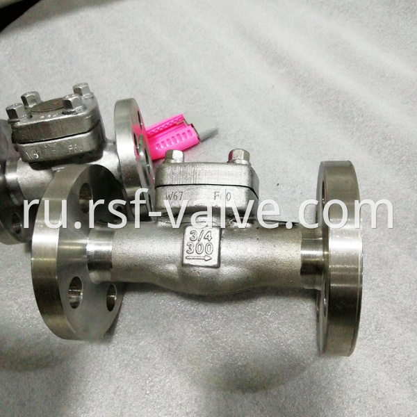 Api602 F60 Check Valve